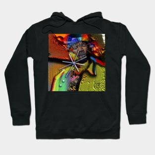 BRUTHA STARR Hoodie